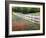 Texas Bluebonnets and Paintbrush Along White Fence Line, Texas, USA-Julie Eggers-Framed Photographic Print