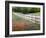 Texas Bluebonnets and Paintbrush Along White Fence Line, Texas, USA-Julie Eggers-Framed Photographic Print