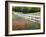 Texas Bluebonnets and Paintbrush Along White Fence Line, Texas, USA-Julie Eggers-Framed Photographic Print