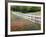 Texas Bluebonnets and Paintbrush Along White Fence Line, Texas, USA-Julie Eggers-Framed Photographic Print