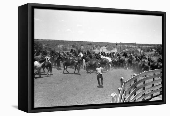 Texas: Cowboy, 1939-Russell Lee-Framed Premier Image Canvas