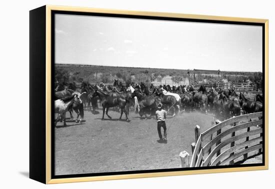 Texas: Cowboy, 1939-Russell Lee-Framed Premier Image Canvas
