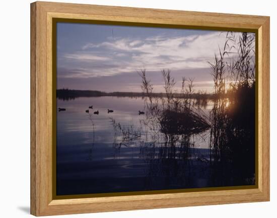 Texas Duck Hunting-Dmitri Kessel-Framed Premier Image Canvas