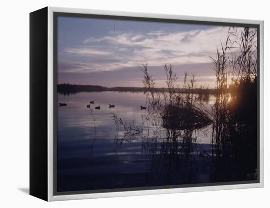 Texas Duck Hunting-Dmitri Kessel-Framed Premier Image Canvas