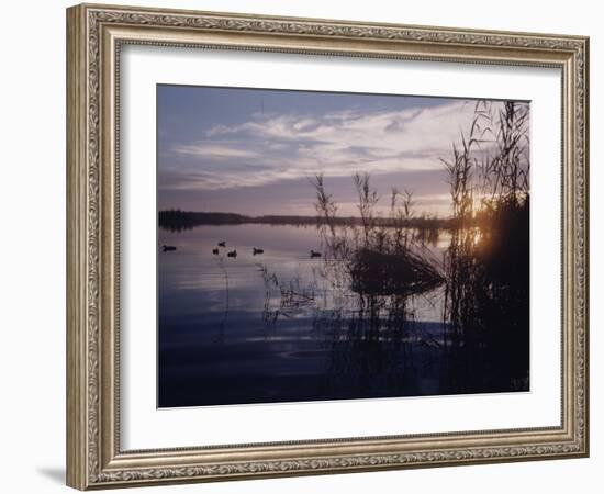 Texas Duck Hunting-Dmitri Kessel-Framed Photographic Print