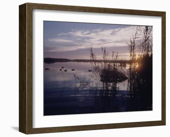 Texas Duck Hunting-Dmitri Kessel-Framed Photographic Print