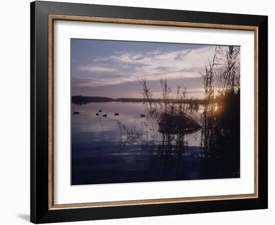 Texas Duck Hunting-Dmitri Kessel-Framed Photographic Print