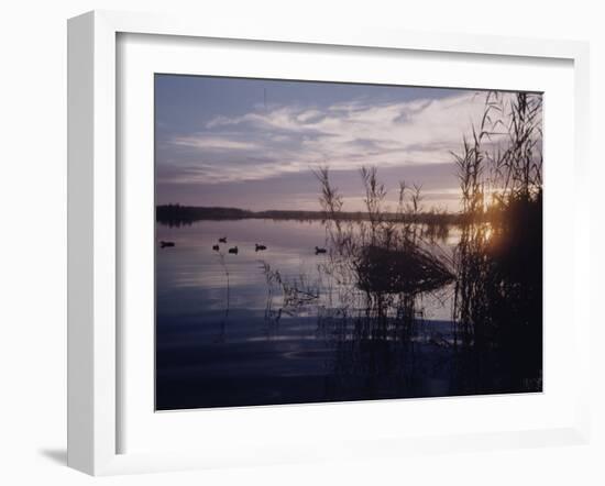 Texas Duck Hunting-Dmitri Kessel-Framed Photographic Print