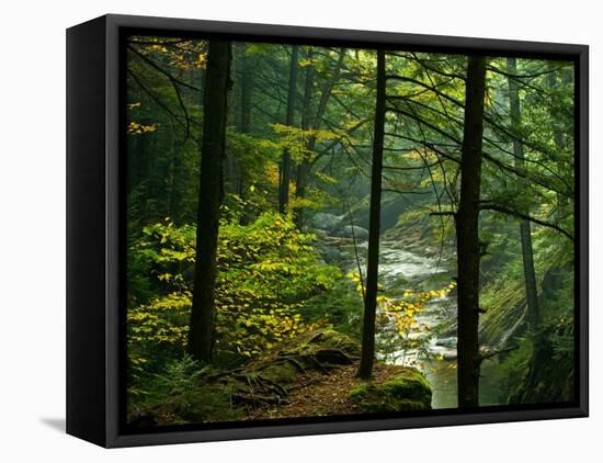 Texas Falls, Vermont, USA-Joe Restuccia III-Framed Premier Image Canvas