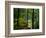 Texas Falls, Vermont, USA-Joe Restuccia III-Framed Photographic Print