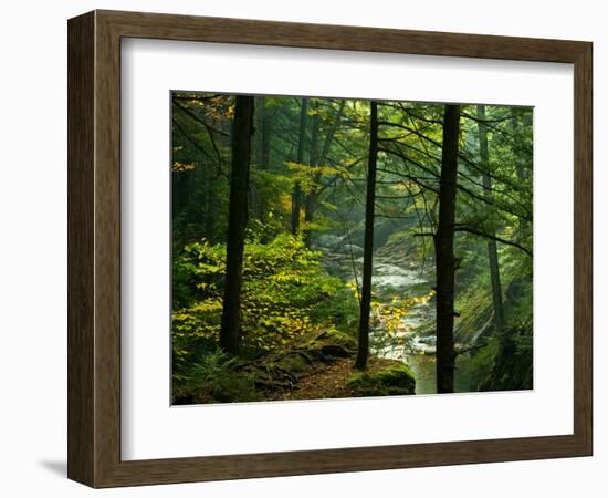 Texas Falls, Vermont, USA-Joe Restuccia III-Framed Photographic Print