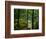 Texas Falls, Vermont, USA-Joe Restuccia III-Framed Photographic Print