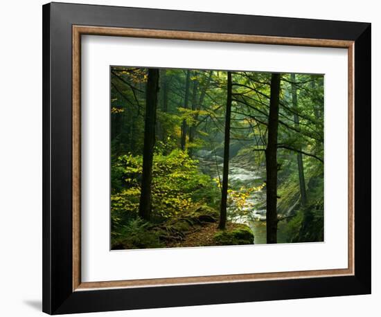 Texas Falls, Vermont, USA-Joe Restuccia III-Framed Photographic Print