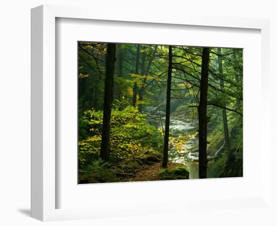 Texas Falls, Vermont, USA-Joe Restuccia III-Framed Photographic Print