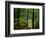 Texas Falls, Vermont, USA-Joe Restuccia III-Framed Photographic Print