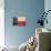 Texas Flag, 1842-null-Giclee Print displayed on a wall