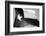 Texas Flag BW-John Gusky-Framed Photographic Print