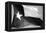 Texas Flag BW-John Gusky-Framed Premier Image Canvas