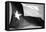 Texas Flag BW-John Gusky-Framed Premier Image Canvas