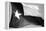 Texas Flag BW-John Gusky-Framed Premier Image Canvas