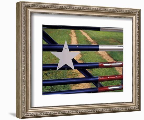 Texas Flag Painted on Metal Gate, Lake Buchanan, Texas, USA-Darrell Gulin-Framed Photographic Print