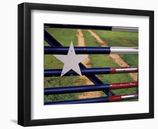 Texas Flag Painted on Metal Gate, Lake Buchanan, Texas, USA-Darrell Gulin-Framed Photographic Print