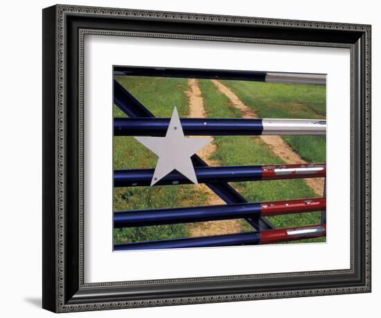 Texas Flag Painted on Metal Gate, Lake Buchanan, Texas, USA-Darrell Gulin-Framed Photographic Print