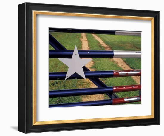 Texas Flag Painted on Metal Gate, Lake Buchanan, Texas, USA-Darrell Gulin-Framed Photographic Print