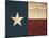 Texas Flag-Jace Grey-Mounted Art Print