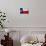 Texas Flag-Xtremer-Art Print displayed on a wall