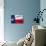 Texas Flag-Xtremer-Art Print displayed on a wall