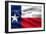 Texas Flag-Xtremer-Framed Art Print
