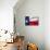 Texas Flag-Xtremer-Mounted Art Print displayed on a wall