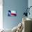 Texas Flag-John Gusky-Mounted Photographic Print displayed on a wall