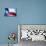 Texas Flag-John Gusky-Mounted Photographic Print displayed on a wall