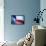 Texas Flag-John Gusky-Framed Premier Image Canvas displayed on a wall
