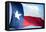 Texas Flag-John Gusky-Framed Premier Image Canvas