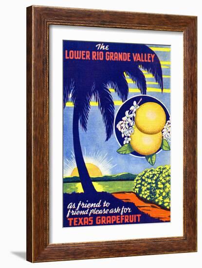 Texas Grapefruit-Curt Teich & Company-Framed Art Print