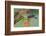 Texas, Hidalgo County. Golden-Fronted Woodpecker on Log-Jaynes Gallery-Framed Photographic Print