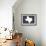 Texas - Home State - White on Gray-Lantern Press-Framed Art Print displayed on a wall