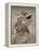 Texas Horned Lizard, Rio Grande Valley, Texas, USA-Rolf Nussbaumer-Framed Premier Image Canvas