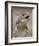 Texas Horned Lizard, Rio Grande Valley, Texas, USA-Rolf Nussbaumer-Framed Photographic Print