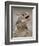 Texas Horned Lizard, Rio Grande Valley, Texas, USA-Rolf Nussbaumer-Framed Photographic Print