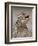 Texas Horned Lizard, Rio Grande Valley, Texas, USA-Rolf Nussbaumer-Framed Photographic Print