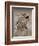 Texas Horned Lizard, Rio Grande Valley, Texas, USA-Rolf Nussbaumer-Framed Photographic Print