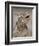 Texas Horned Lizard, Rio Grande Valley, Texas, USA-Rolf Nussbaumer-Framed Photographic Print