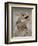 Texas Horned Lizard, Rio Grande Valley, Texas, USA-Rolf Nussbaumer-Framed Photographic Print