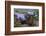 Texas Indigo Snake (Drymarchon Melanurus Erebennus) Close Up Amongst Vervain (Glandularia Sp-Claudio Contreras-Framed Photographic Print