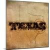 Texas Lone Star-SD Graphics Studio-Mounted Art Print