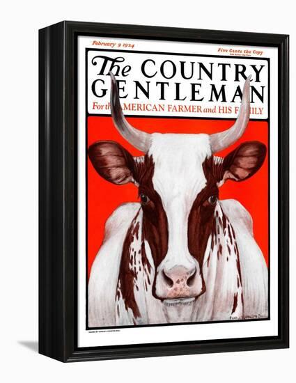 "Texas Longhorn," Country Gentleman Cover, February 9, 1924-Charles Bull-Framed Premier Image Canvas